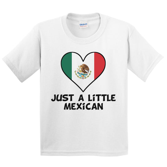 Just A Little Mexican T-Shirt - Funny Mexico Flag Kids Youth Shirt