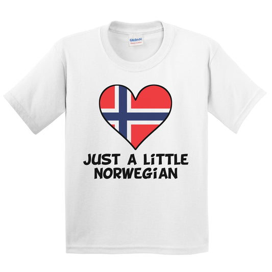 Just A Little Norwegian T-Shirt - Funny Norway Flag Kids Youth Shirt